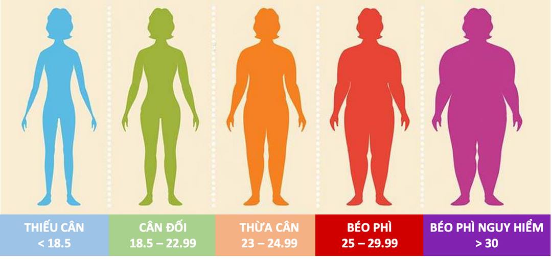 Chỉ số BMI thể hiện trọng lượng cơ thể có nằm trong vùng an toàn