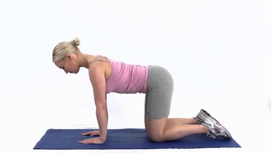 Lunge Twist