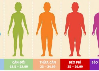 Chỉ số BMI thể hiện trọng lượng cơ thể có nằm trong vùng an toàn