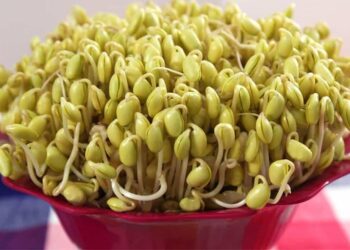 Cách làm giá đậu nành