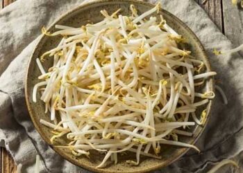 Câu hỏi thường gặp khi làm giá đỗ tại nhà