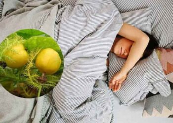 TOP 5 cách sử dụng cây lạc tiên chữa mất ngủ an toàn