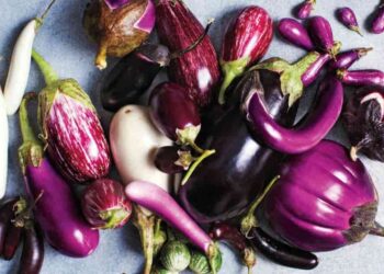 Chữa nhiệt miệng bằng cà tím dễ dàng nhờ mẹo hay dân gian