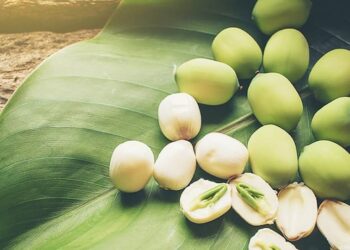 TOP 8 cách ăn hạt sen chữa mất ngủ cực hiệu quả