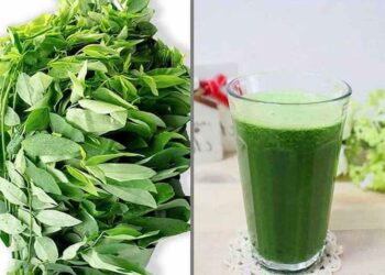 Rau ngót chữa nhiệt miệng có thật sự hiệu quả không?