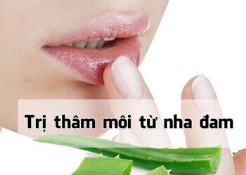 Hướng Dẫn Cụ Thể Về Cách Khử Thâm Môi Bằng Nha Đam
